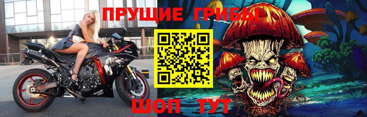 Каменск-Шахтинский  Псилоцибиновые грибы ЛСД  Вход с VPN 